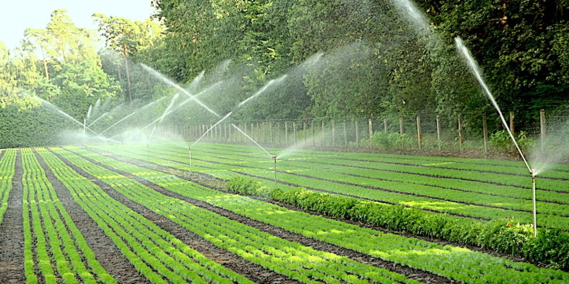 ¿Cuánto ayuda el subsidio para tecnificar el riego agrícola?