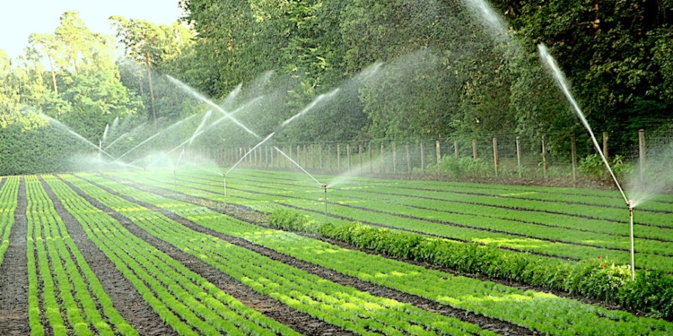 ¿Cuánto ayuda el subsidio para tecnificar el riego agrícola?
