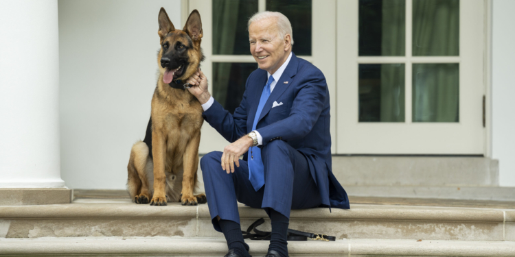 Biden cambia la estrategia de combate a las drogas. Perdona a sentenciados por posesión de marihuana