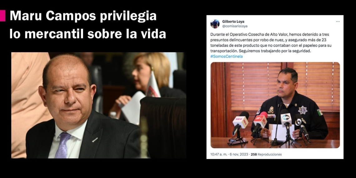 “En Chihuahua, las nueces son cuidadas y las mujeres violentadas”