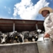 Avanzan gestiones con Segalmex para apoyar a productores de leche de Chihuahua ante la sequía