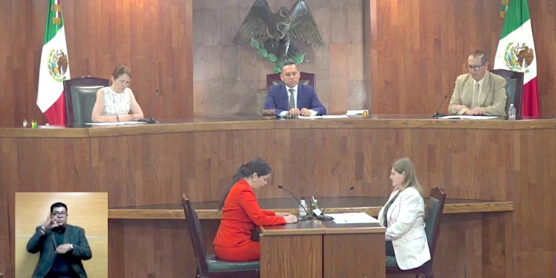 Tribunal Electoral federal frena golpe para eliminar a líder de Morena en el Congreso