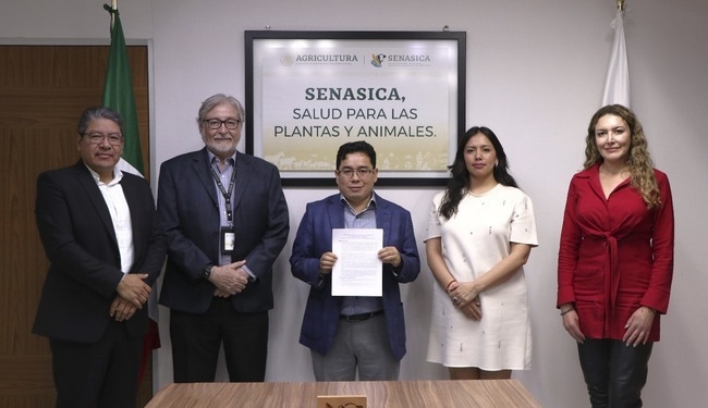 Sader exhibe mentira de senador del PAN que se arroga gestiones para reanudar exportación de ganado