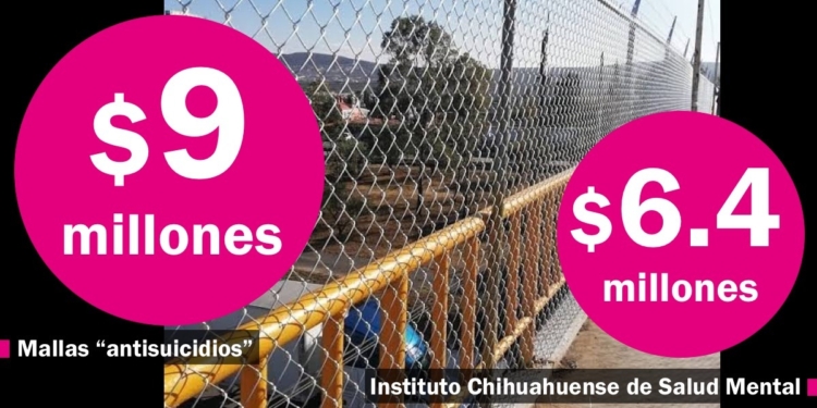 Gobiernos del PAN gastan más dinero en mallas “antisuicidios” que en atención a la salud mental