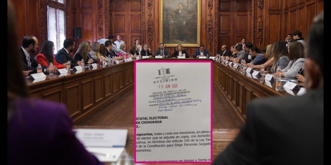 Ciudadanos solicitan al Tribunal Electoral anular constancias de mayoría a perfiles inelegibles