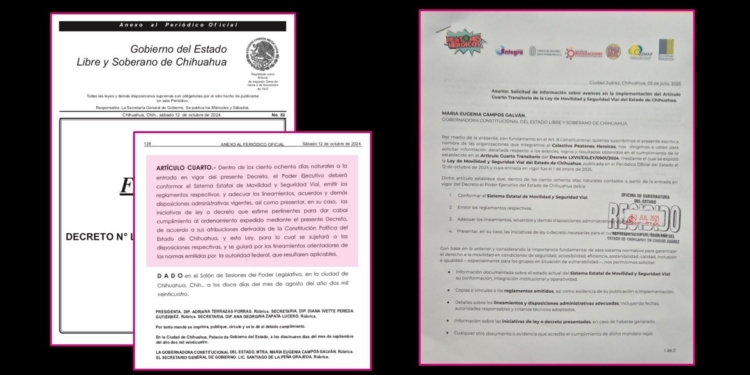 Peatones Heroicos solicita a Maru Campos información sobre el cumplimiento de la Ley de Movilidad