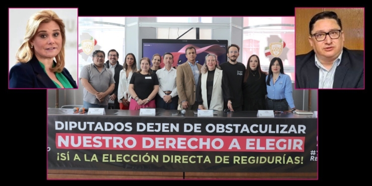 El terror del PAN a la democracia