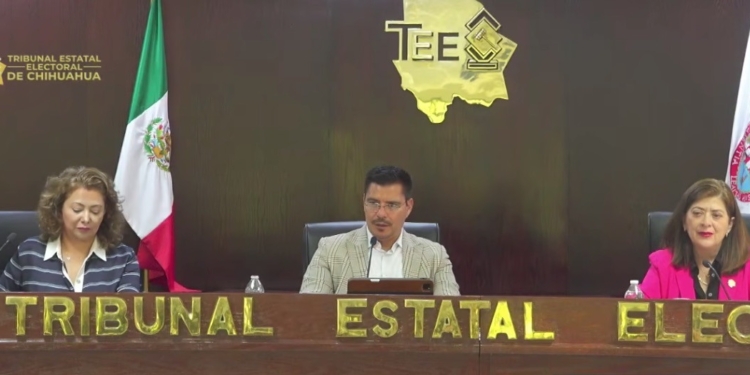 Tribunal Electoral declara “una omisión legislativa absoluta” del Congreso en elección directa de regidurías