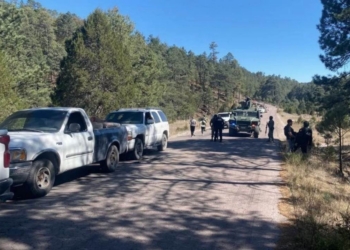 El desplazamiento forzado en la Sierra Tarahumara es culpa del Gobierno de México: Maru Campos