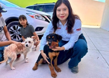 Jael Argüelles transforma el legado de su padre en campañas de esterilización y bienestar animal