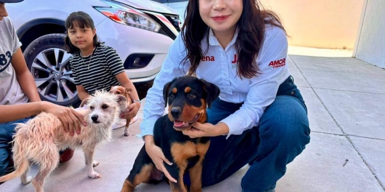 Jael Argüelles transforma el legado de su padre en campañas de esterilización y bienestar animal