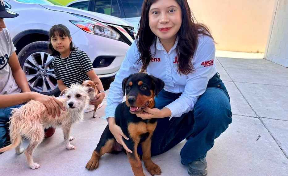 Jael Argüelles transforma el legado de su padre en campañas de esterilización y bienestar animal