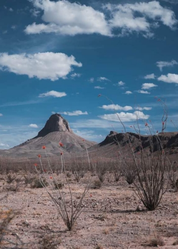 Sin desierto no hay Chihuahua